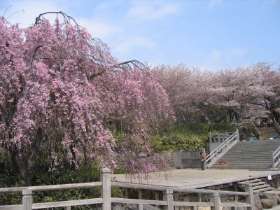 �򒹎R����